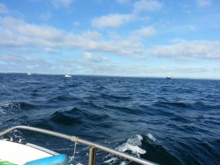 hven_131006