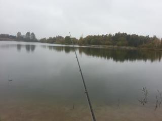 simons_pogt_131013