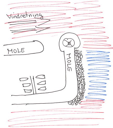 fladfisk_mole