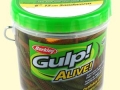 gulp-alive