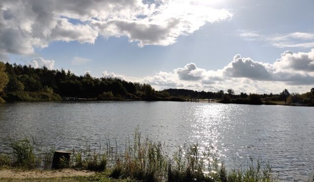 Fyrre hug og to fisk