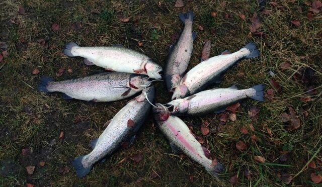 Der var engang i Simons